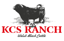 KCS Ranch